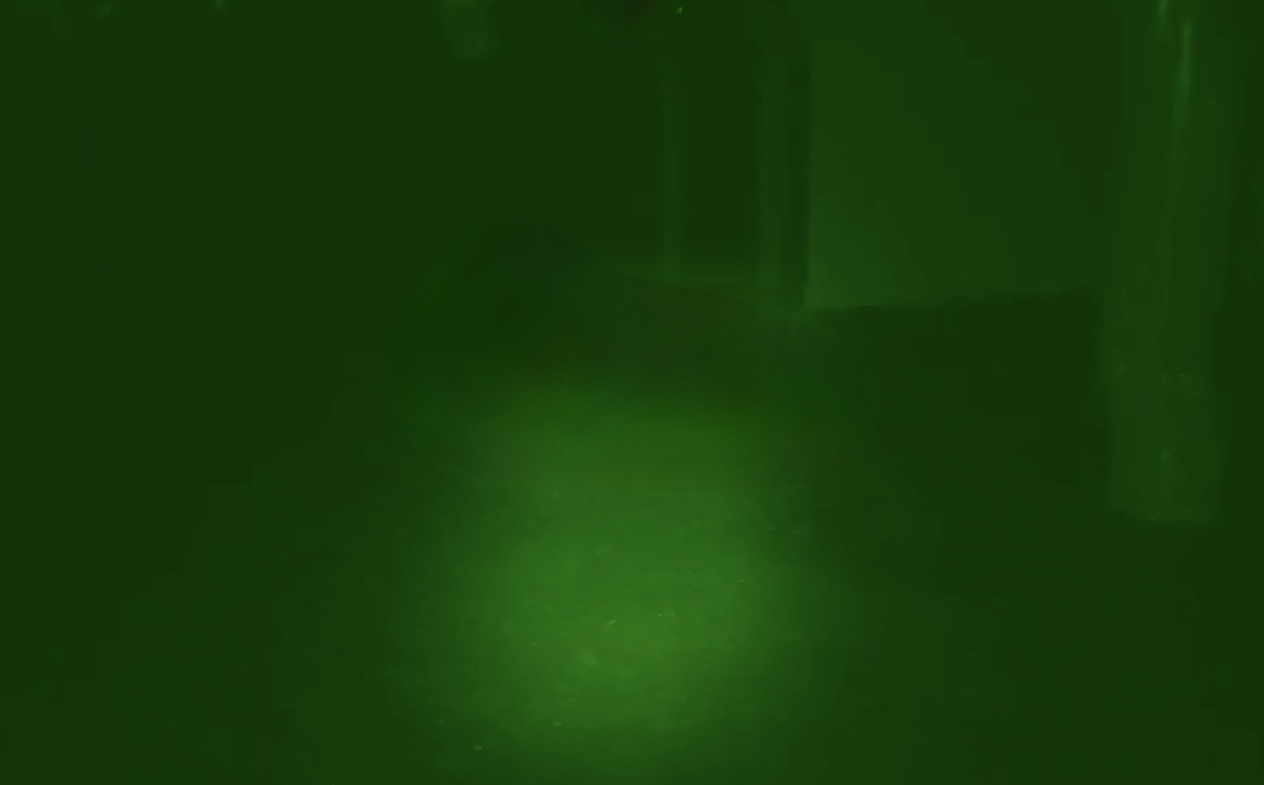 BTS (Behind the Scenes) - Cortometraje